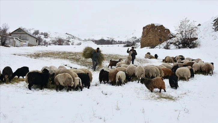 Hakkari'deki besicilerin kış şartlarıyla mücadelesi başladı