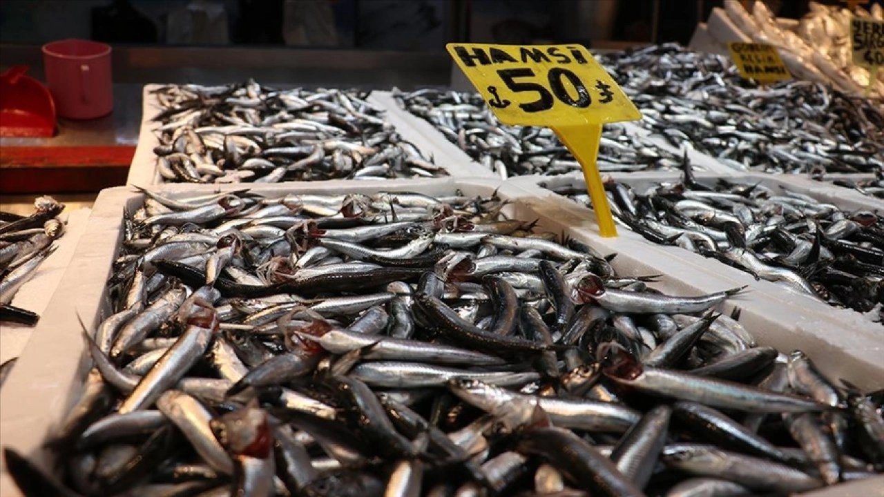 Hamsi bolluğu Trabzon'daki balıkçı tezgahlarında fiyatlara yansıdı