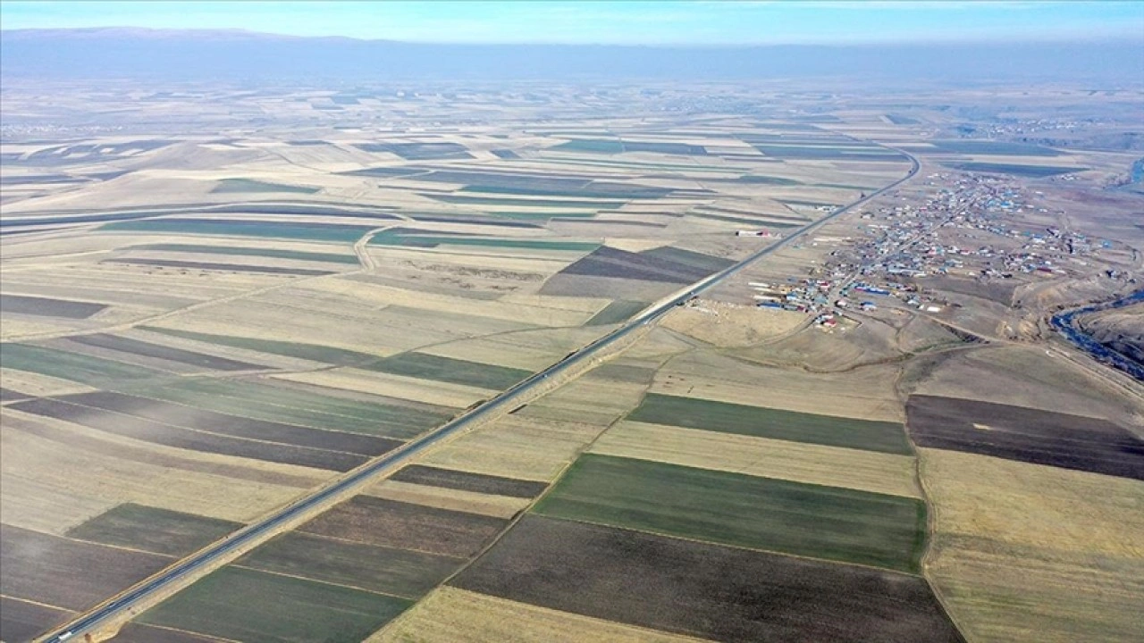 Hasadın tamamlandığı Kars Ovası'ndaki tarlalar "halı desenini" andırıyor