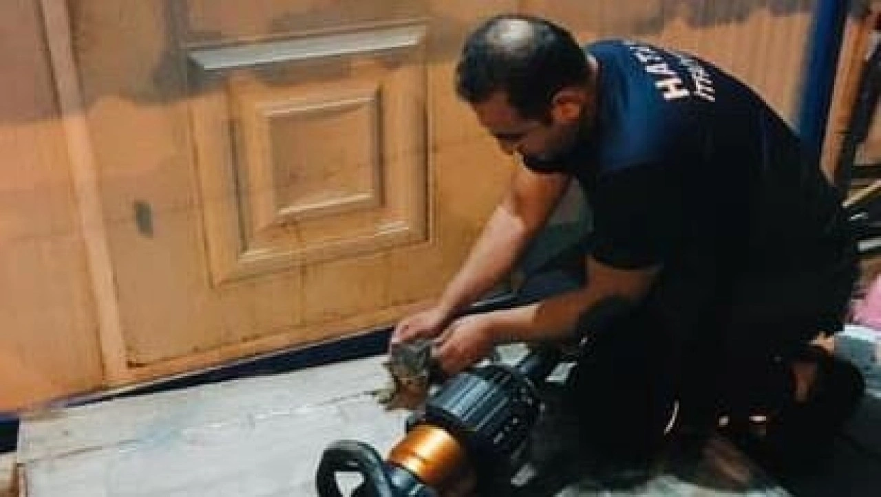Hatay'da itfaiye ekibi, kedi yavrusunu kalp masajıyla hayata döndürdü