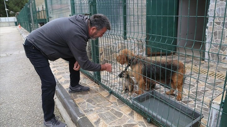 Hayvan hakları için on yıldır şehir şehir geziyor