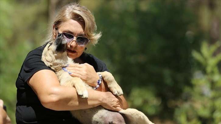 Hayvan korkusunu hediye köpekle yendi, ömrünü sahipsiz can dostlara adadı