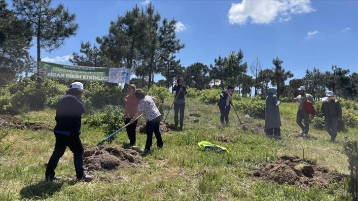 Hemşireler Pendik'te hatıra ormanı oluşturdu