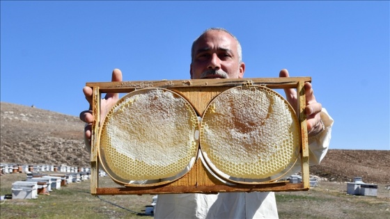 Hobisini kazanca dönüştüren girişimci yılda 7 ton bal üretiyor