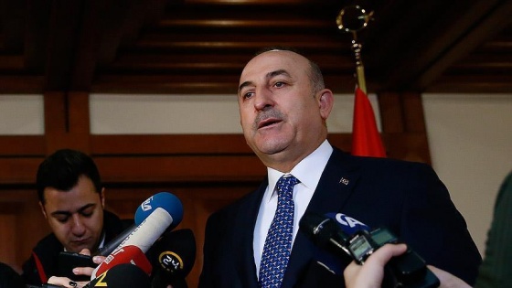 Hollanda, Çavuşoğlu'nun iniş iznini iptal etti