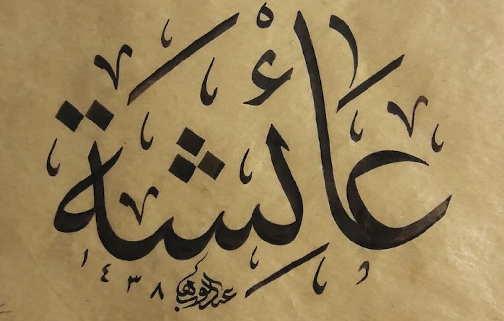 Hz. Ayşe’nin evlenme yaşı!.. -Ali Mevlüt Kaya yazdı-
