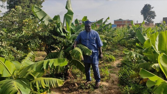 İDDEF'in 'Afrika Fidan Projesi' devam ediyor