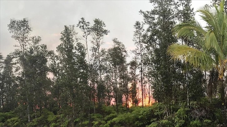 İklim değişikliği, yeşil bitki örtüsüyle bilinen Hawaii'de orman yangınlarını tetikledi
