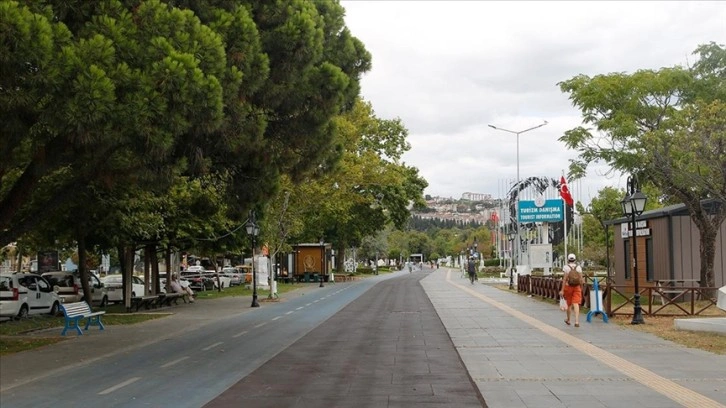 İklim değişikliğiyle mücadelede şehir peyzajlarında doğal bitki kullanımı önerisi