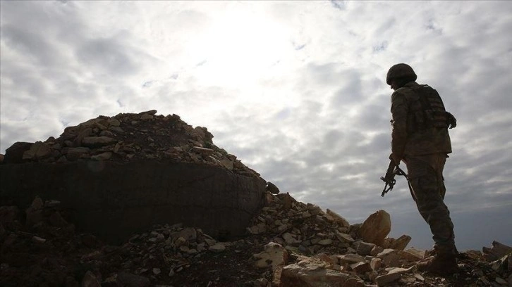 İkna çalışmaları sonucu bir PKK'lı terörist teslim oldu