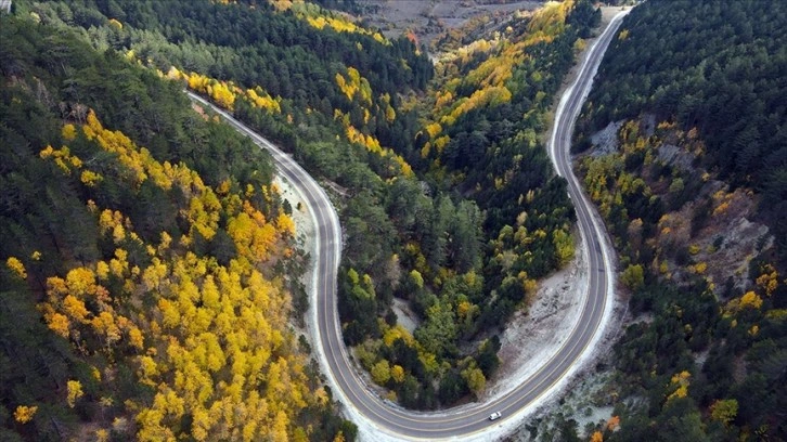 Ilgaz Dağı sonbaharda farklı renk tonlarıyla doğa tutkunlarını ağırlıyor