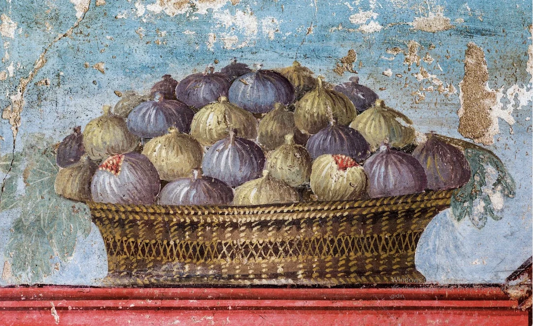 İncir -Sami Mert yazdı-