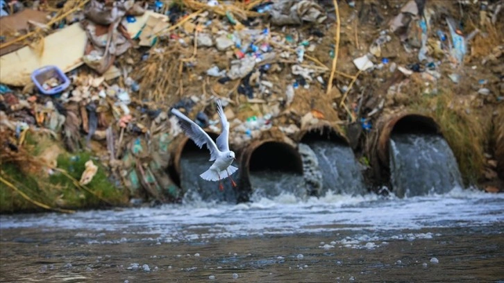 Irak’ta Dicle Nehri’ndeki kirlilik yaşamı tehdit ediyor