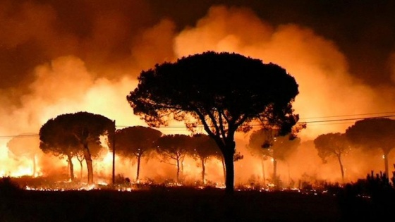 İspanya'daki orman yangını nedeniyle 2 bin kişi evini terk etti