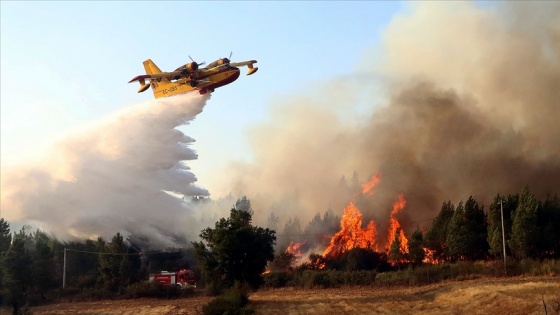 İspanya ve Portekiz'i etkilemesi beklenen sıcak hava dalgası orman yangını riskini artıracak