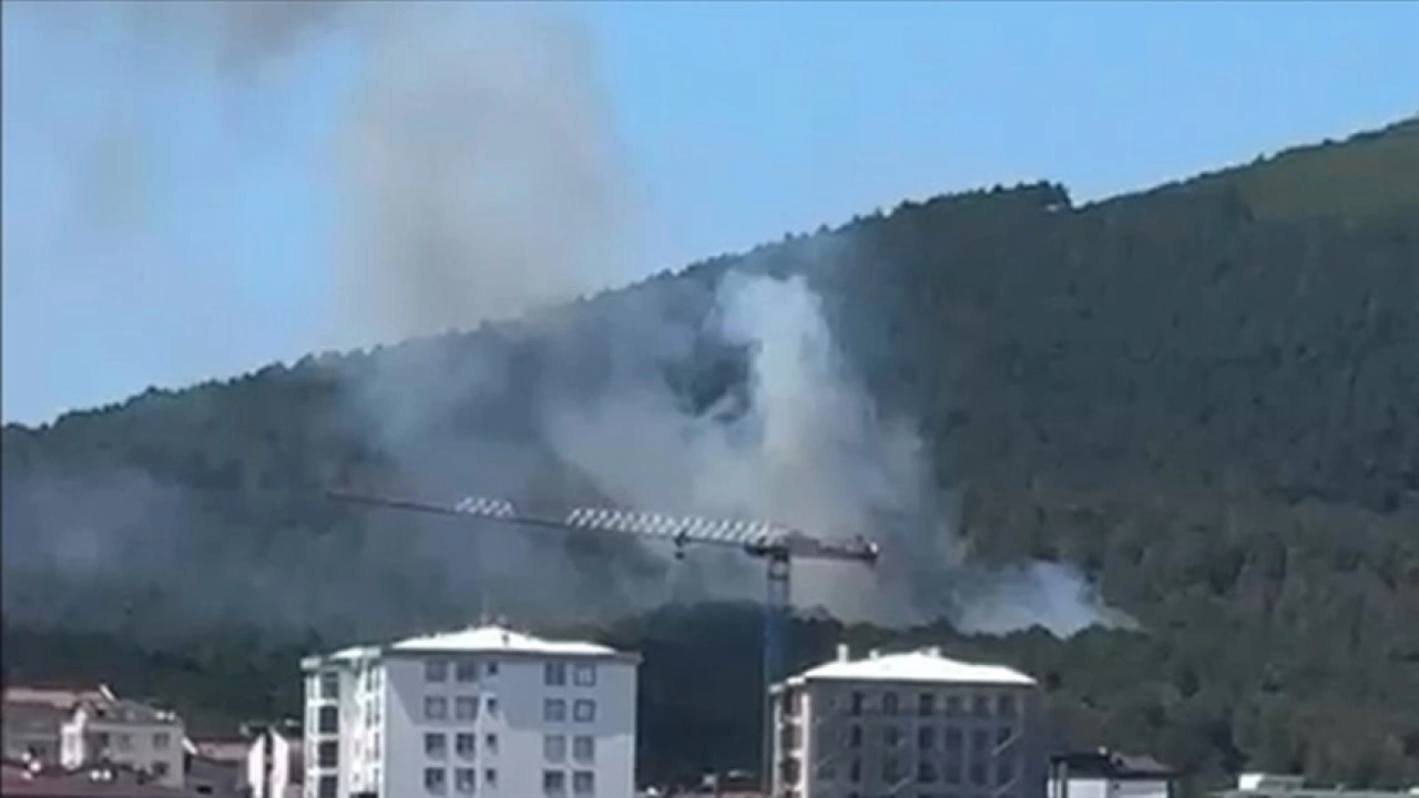 İstanbul'da Aydos Ormanı'nda yangın çıktı
