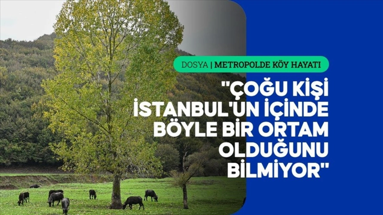 İstanbul'un kalabalığına birkaç kilometre uzaklıkta doğal köy yaşamı sürüyor