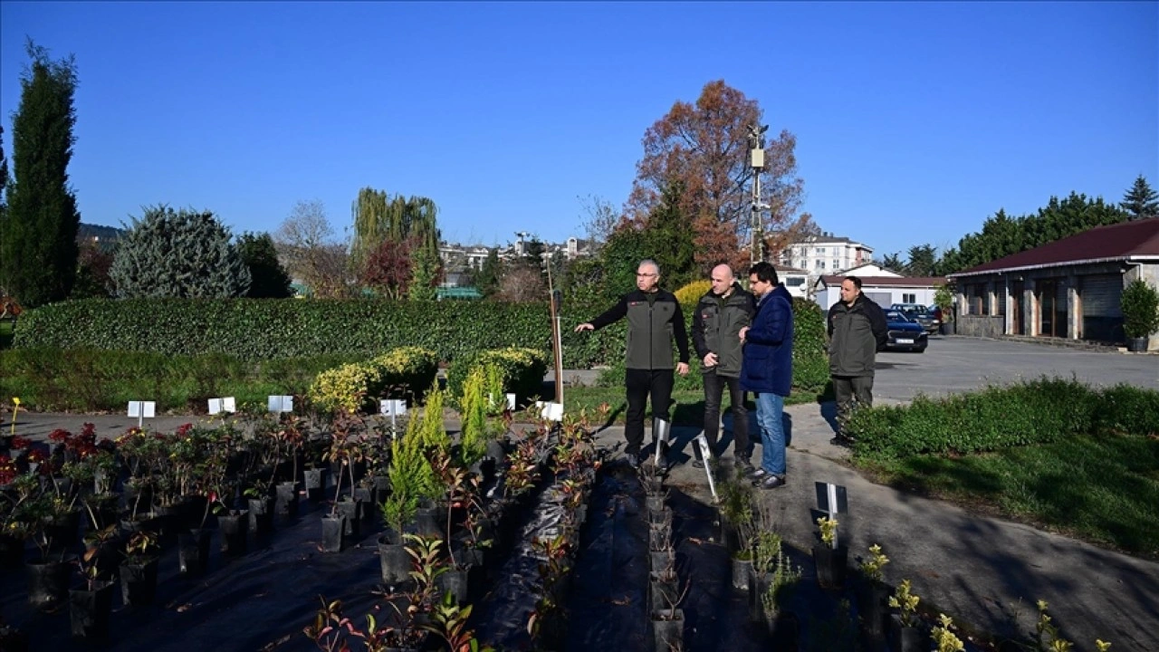 İstanbul'un y&uuml;zde 44'&uuml;n&uuml; kaplayan ormanlar havadan ve karadan korunuyor