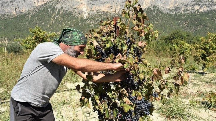 İstanbul'da 30 yıllık yöneticiliğin ardından doğal yaşam için Bilecik'e yerleşti