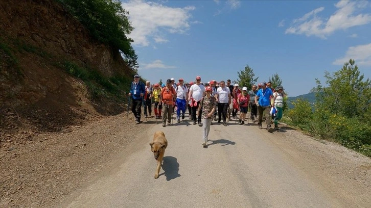 İstiklal Yolu Yürüyüşü'ne katılanlarla 95 kilometre kateden köpeği, İnebolulular sahiplendi