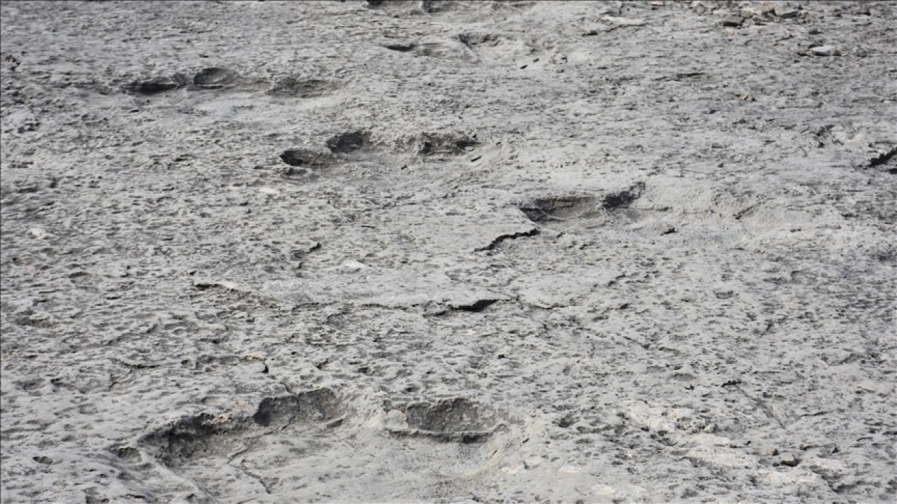 İtalya'da 200 milyon yıl &ouml;ncesinden kaldığı d&uuml;ş&uuml;n&uuml;len binlerce dinozor ayak izi keşfedildi