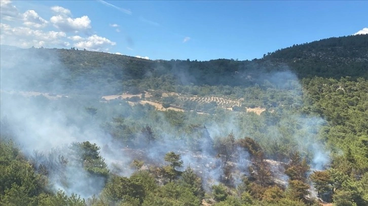 İzmir Bergama'da çıkan orman yangını kontrol altına alındı