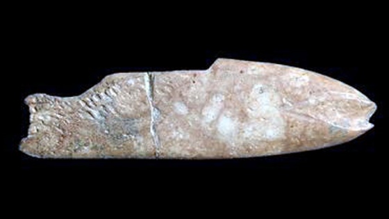 İzmir'de 8 bin yıl öncesine ait balık figürlü alet bulundu