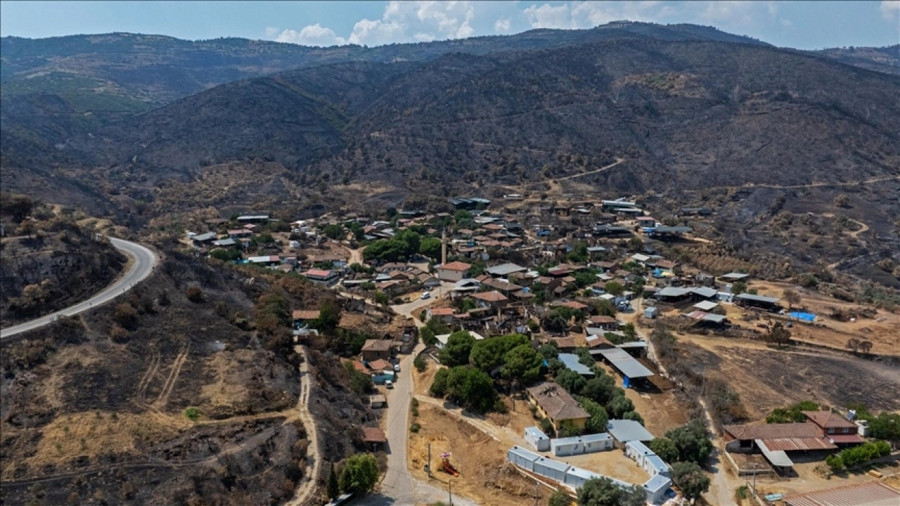 İzmir'deki orman yangınlarının yaraları sarılmaya çalışılıyor