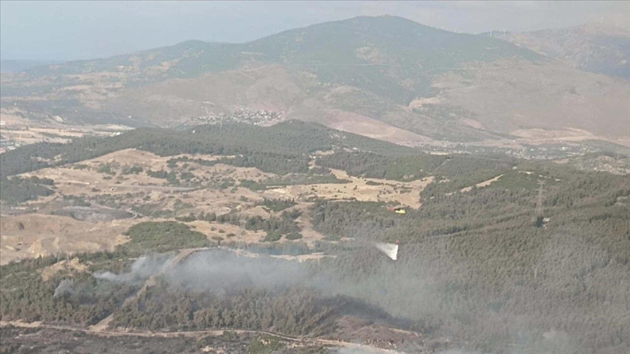 İzmir'in Aliağa ilçesinde ormanlık alanda çıkan yangına müdahale ediliyor