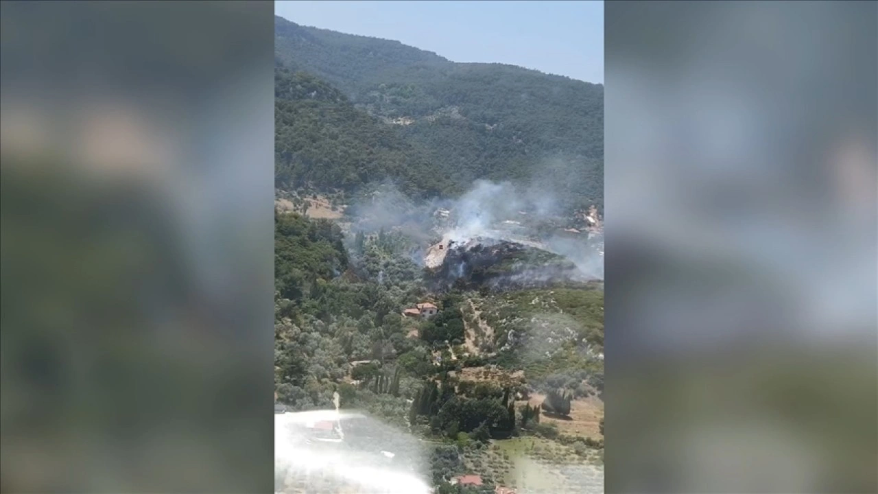 İzmir'in Kemalpaşa ilçesinde çıkan orman yangınına müdahale ediliyor