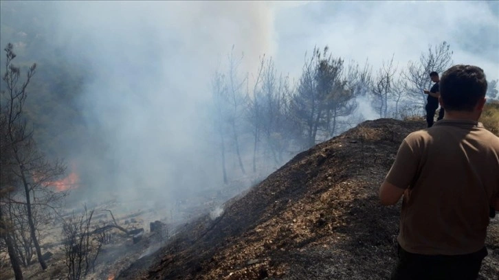 İzmir'de çıkan orman ve makilik alan yangınları kontrol altına alındı