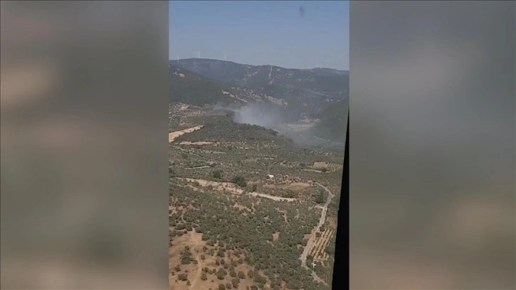 İzmir'in Torbalı ilçesinde çıkan orman yangını kontrol altına alındı