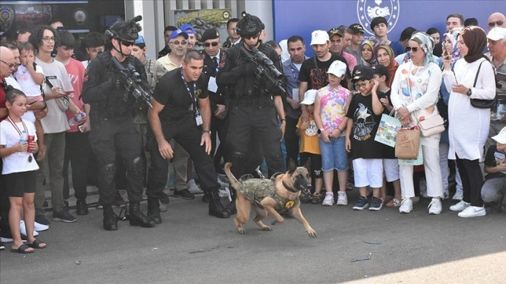 Jandarmada görevli saldırı köpeği 