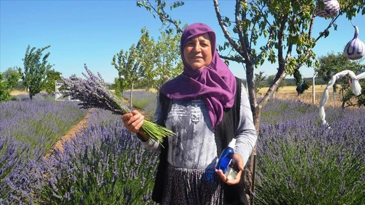 Kadın girişimci kıraç araziyi lavantayla geçim kaynağına dönüştürdü