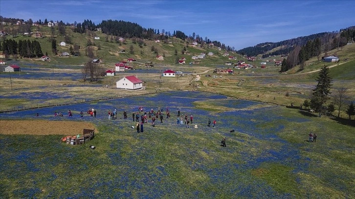 Kadıralak Yaylası 