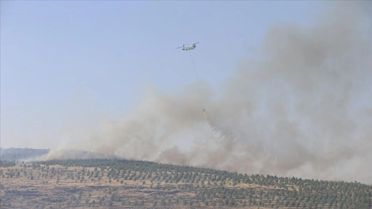 Kahramanmaraş'ta çıkan orman yangını kontrol altına alındı