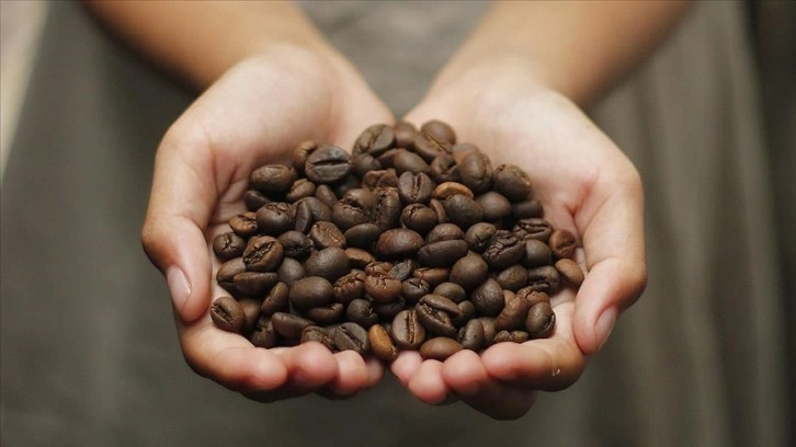 Kahve keyfinin sürmesi bilinçli üretime ve tüketime bağlı