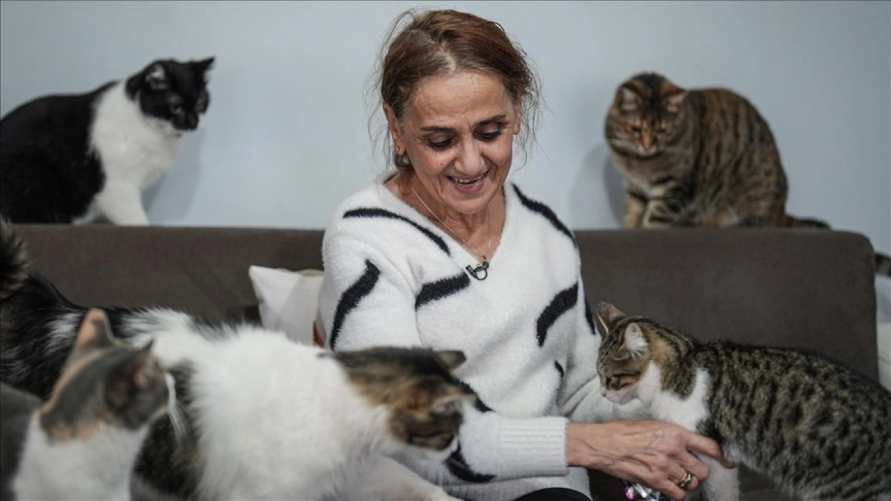 Kanser tedavisi sürecinde evinde beslediği 30'dan fazla kediden güç ve moral buldu