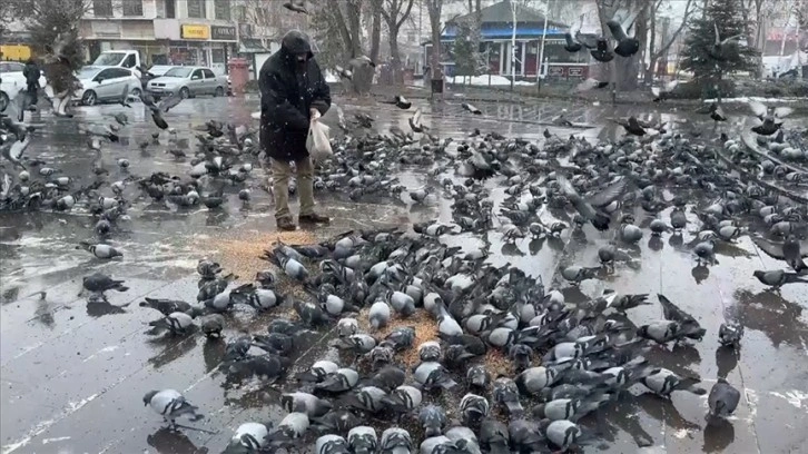 Kar yağışının sürdüğü Ardahan'da vatandaşlar güvercinleri besledi