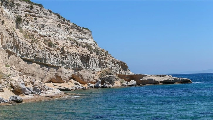 Karaburun-Ildır Körfezi'ndeki doğal yaşam kayıt altında