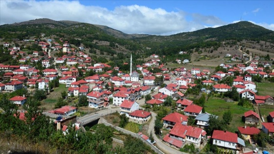 Karadeniz'in doğasını ve mimarisini koruyan mahalle: Yeşilce