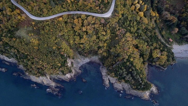 Karadeniz kıyısındaki ormanlarda sonbahar renkleri havadan görüntülendi