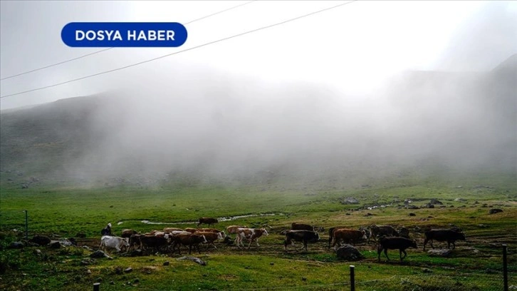 Karadeniz'de ısınma derinlere ulaşmaya başladı