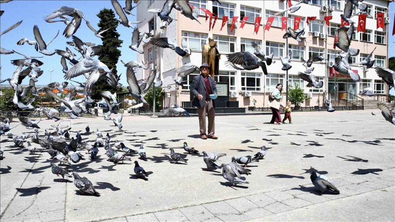 Karadenizli ihtiyar delikanlı, güvercinleri beslemeyi bir gün bile aksatmıyor