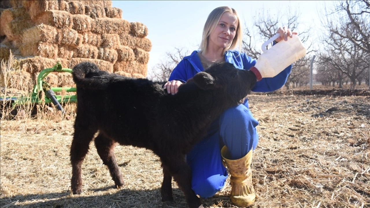 Karaman'da yaşayan gen&ccedil; kadın devlet desteğiyle hayvancılığa başladı