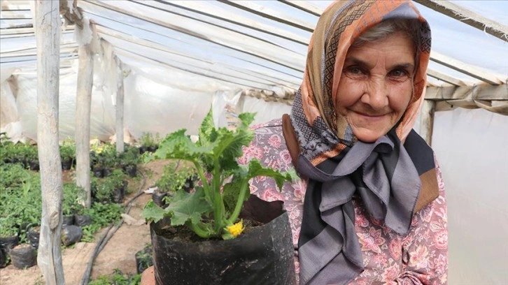 Karamanlı Havva nine yetiştirdiği sebze fideleriyle tarımsal üretime katkı sunuyor