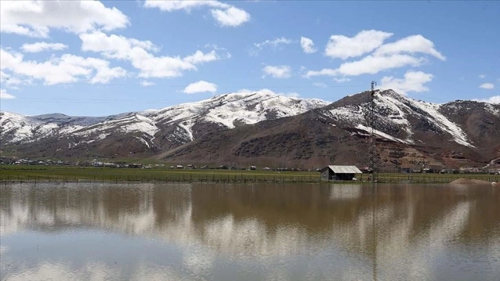 Karların erimesiyle Muş Ovası'ndaki bazı araziler suyla kaplandı