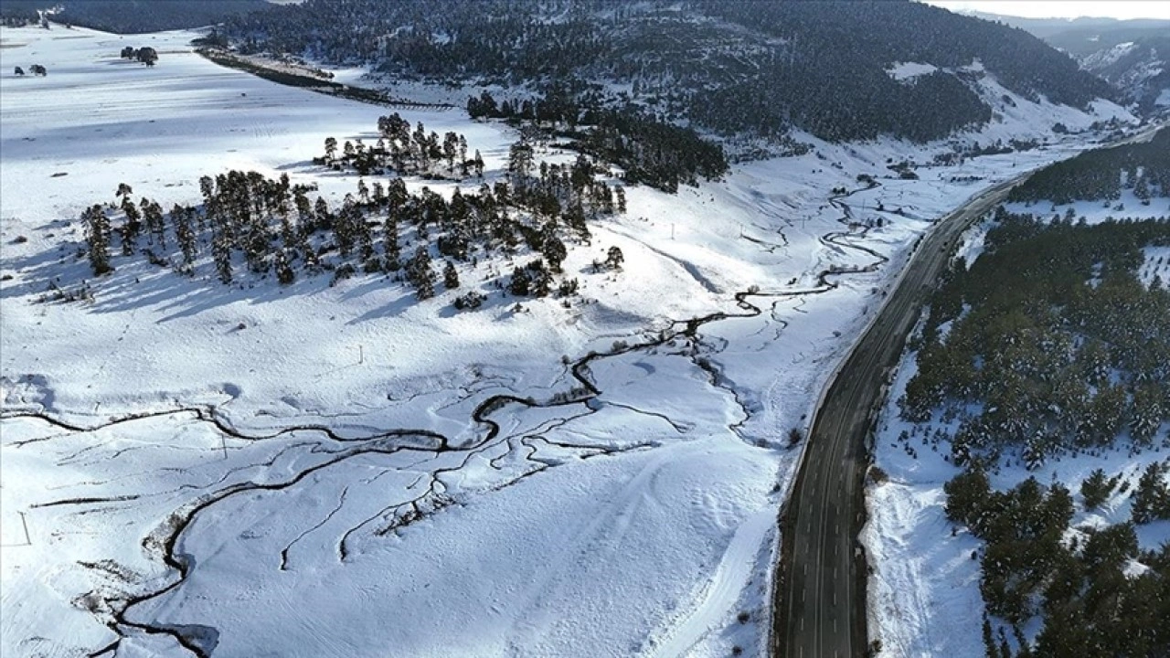 Kars'ta karla kaplanan sarıçam ormanları dronla görüntülendi