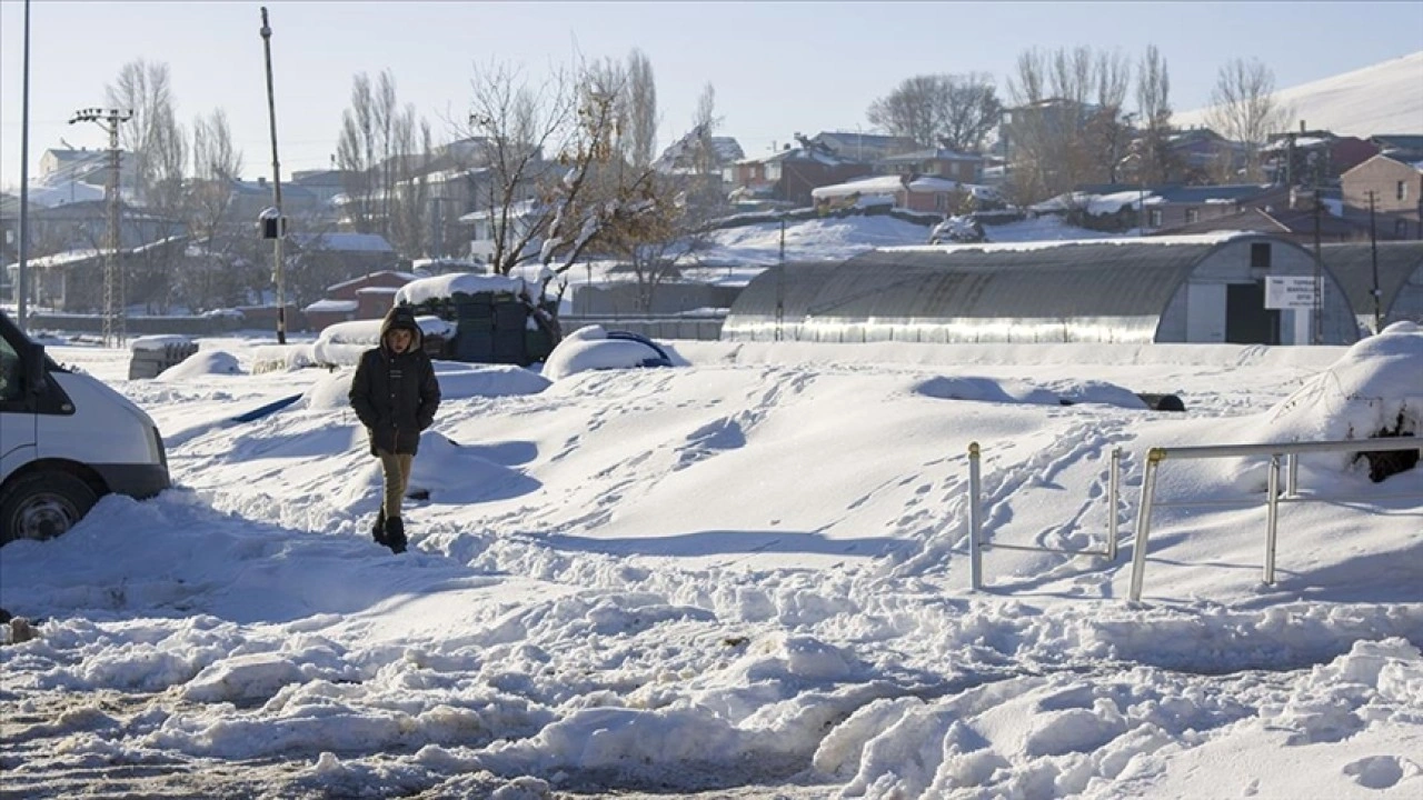 Kars'ta sulak alanlar dondu, bitki ve ağa&ccedil;lar kırağı tuttu