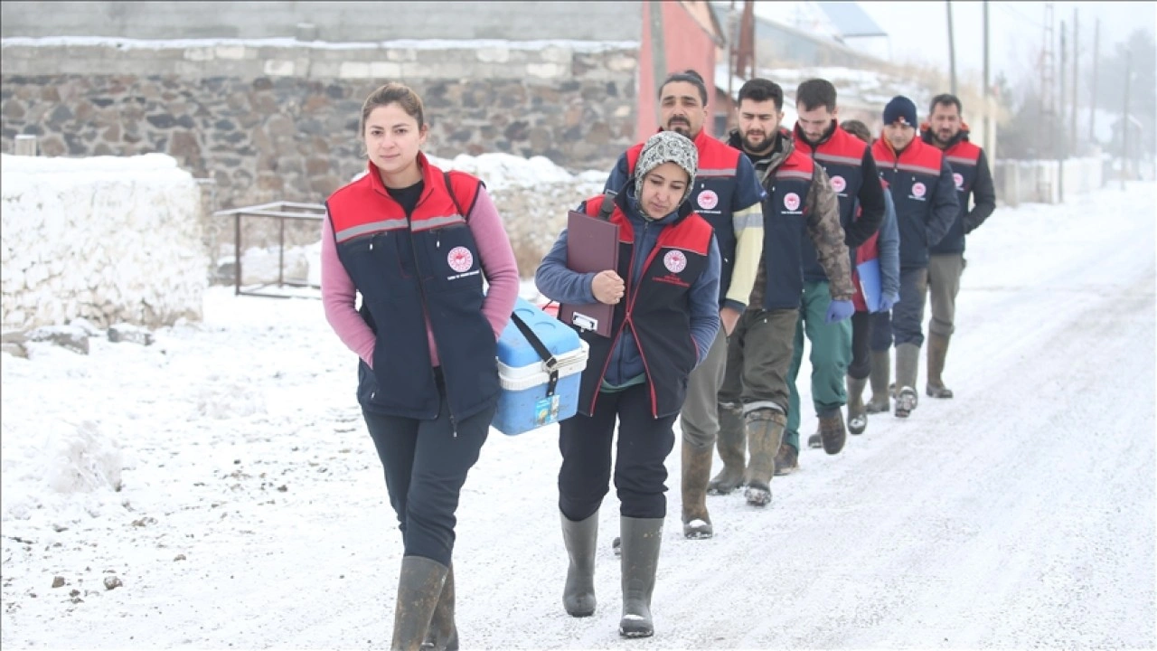 Kars'ta veteriner hekimler, hayvanların sağlığı i&ccedil;in &ccedil;etin kış koşullarında sahada
